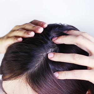 3/輕壓按摩頭皮至青春露完全吸收， 即可吹乾頭髮。