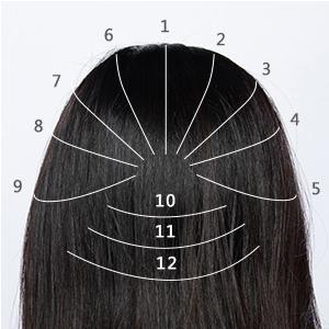 1/約略將頭皮畫分12條等分線。