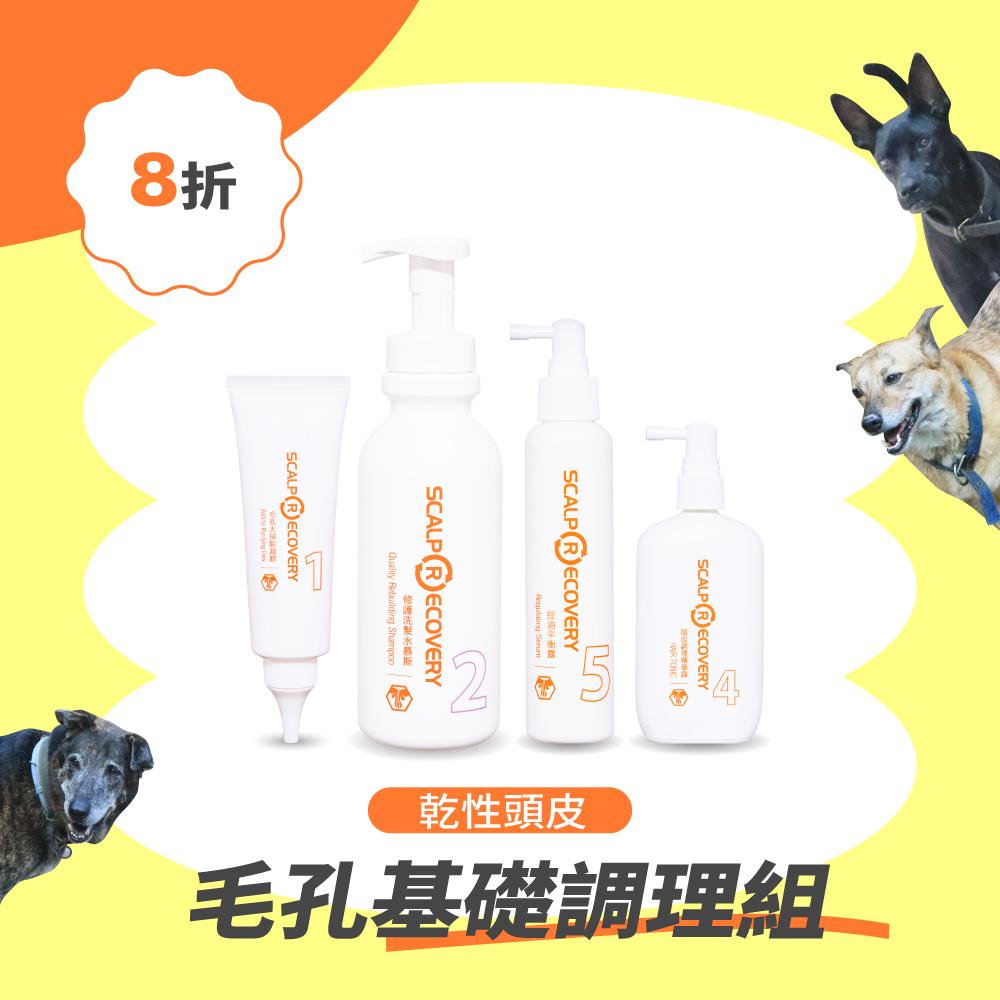 乾性頭皮【毛孔基礎調理組】