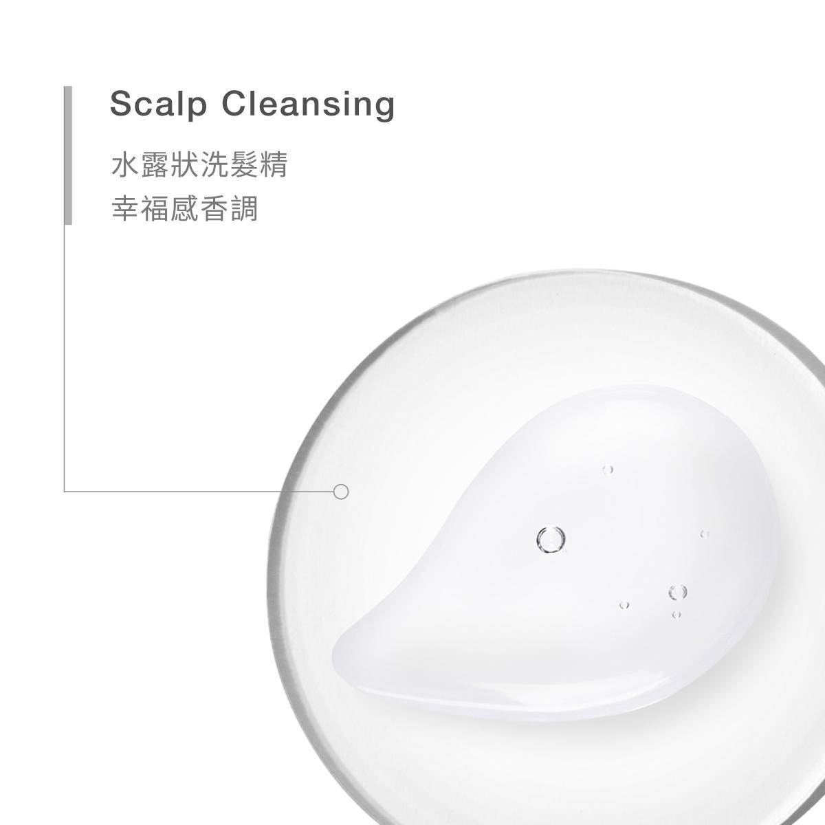 【8/3-8/5限定】淨化洗髮精 1000ml 三入組