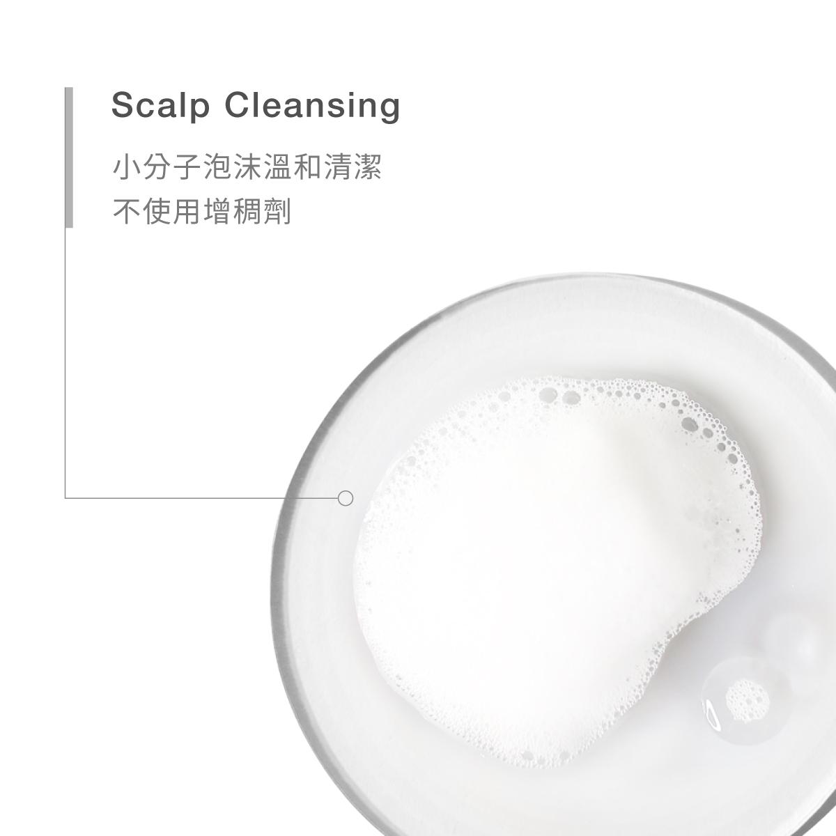 【8/3-8/5限定】甦活洗髮水慕斯 500ml 三入組