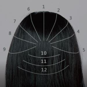1/約略將頭皮畫分12條等分線。