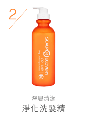 https://www.scalprecovery.com/products/RR20-L_000101